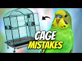 You’re Setting Up Your Bird Cage All Wrong!