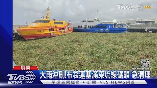 大雨過後!東琉碼頭滿溢布袋蓮 恐阻通行縣府急派工清除｜TVBS新聞 @TVBSNEWS01