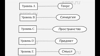 Общая психология. Пять уровней построения движений. Н. А. Бернштейн. С примерами