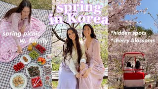 Spring in Korea 🌸 going to MUST VISIT cherry blossom spots in Seoul & Busan + having a spring picnic