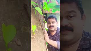 #🤣😂എന്നാ പോട്ടെ ചേച്ചി പിന്നെ കാണാം 🤣😂#comedy #reels #funny #malayalmcomedy #malayalam #acting