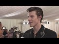 Shawn Mendes on His Gold-Streaked Hair for the Met Gala  Met Gala 2019 With Liza Koshy  Vogue