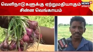 Small Onion Cultivation | சின்ன வெங்காய சாகுபடி அதிகம் நடைபெறும் பெரம்பலூர்