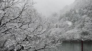 【正氣家族樂遊日本北陸溫泉戲雪】庄川峽船之旅#3