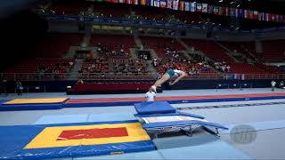 CLARKE Dominic (AUS) - 2017 Trampoline Worlds, Sofia (BUL) - Qualification Double Mini Routine 2