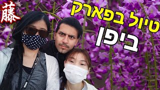 וולוג ביפן - פוג'י זה סוג של פרח?! 🌸 טיול קצר ליד מקדש טאמאשיקי