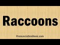 How to Pronounce Raccoons