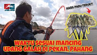 Waktu Sesuai Memancing Udang Galah Di Pekan, Pahang