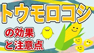 浮腫みの改善に！？トウモロコシの効果と注意点【国際中医専門員が解説】