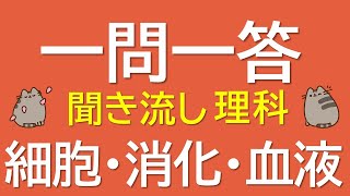 【一問一答　中学理科】細胞・消化・血液 ～音声あり～ 定期試験・受験対策！