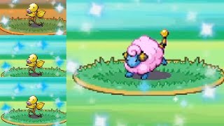 Live Shiny Mareep in HeartGold after 6884 REs (+3 Bellsprout)