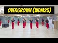 Overgrown (WDM25) ㅣ Intermediate ㅣ 토요강사반 ㅣ 한국라인댄스협회 대전지회