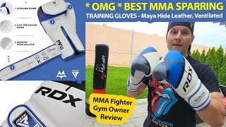 RDX Boxing Gloves EGO Review by MMA Fighter \u0026 Gym Owner - Best Sparring Boxing Gloves \u0026 Training