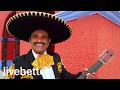 Mexican Music Instrumental: Traditional Music From Mexico - Mariachi, Guitar, Trumpet