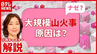 【解説】火元は？ 延焼続く“大規模山火事”…消火より空中放水のワケ　栃木・足利（2021年2月24日放送「news every.」より）