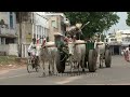 bullock cart in chennai india