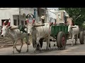 bullock cart in chennai india