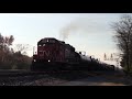 ic 9561 with a nice horn leads cn l546