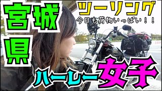 ハーレー女子　Harley Davidson　2014 Street Bob 9ヶ月ぶりの宮城！