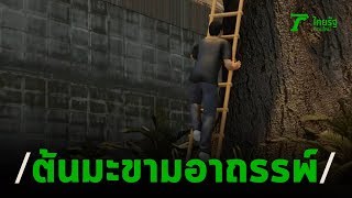 ผวาผีต้นมะขาม 100 ปี หนุ่มปีนตัดตกมาตาย | 10-03-63 | ไทยรัฐนิวส์โชว์