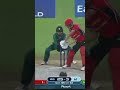 SHADAB KHAN The Superstar | Googly master | Shadab Khan Wickets