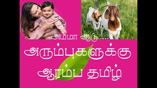 அம்மா ஆடு இலை || உயிர் எழுத்துச்சொற்கள் ||   amma aadu illai || uyir elluthu sorkal