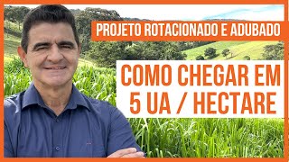 É POSSIVEL CHEGAR EM 5 UA por HECTARE ROTACIONANDO E ADUBANDO? Projeto para Bovinos de Corte