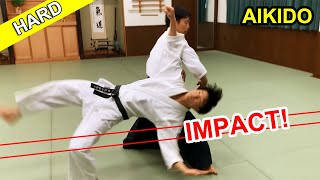 Impact! Hard Aikido techniques