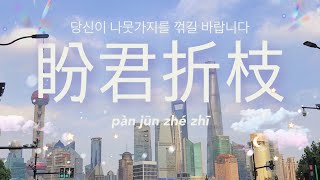 盼君折枝  당신이 나뭇가지를 꺾길 바랍니다 REMIX - 郑鱼 🇨🇳중국노래🇨🇳 [가사,병음,해석]