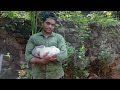 മുയൽ വളർത്തൽ അറിയേണ്ടതെല്ലാം rabbit farming malayalam muyal valarthal malappuram muyal farm