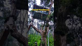 Best tree houses in Munnar | Tree house in Munnar | Best Resorts in Munnar | Tree house in Kerala