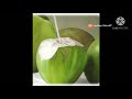 இளநீர் குடித்தால் கிடைக்கும் நன்மைகள் coconutwater coconut