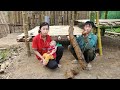 Young couple → Go into the forest to find giant cassava tubers to eat. green farm ht