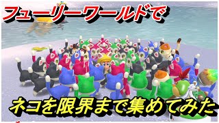 【マリオ3Dワールド/フューリーワールド】ネコを限界まで集めてみた【癒し】