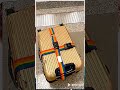 with this luggage strap you are not afraid of your luggage when you go out