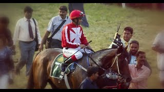 Indian Derby 2019 | Meet Star Superior | Winner