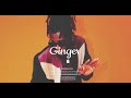 [FREE] Burna boy x Wizkid x Afrobeat Type Beat 2020 - Ginger