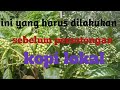 ini yg harus dilakukan sblm pemotongan kopi lokal