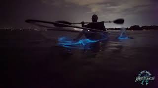 Clear Kayak Bioluminescence Kayak Tour - A Day Away Kayak Tours