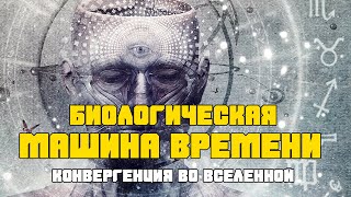 Биологическая машина времени | Хроника необъяснимого | От пророчества к пророчеству