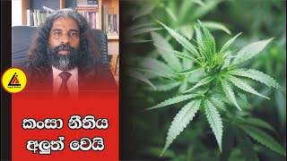 අලුත් වුණු කංසා නීතිය | අපි නොදන්න Law |Api Nodanna Law | Legal Action