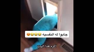 طفل يهرب من البيت مضحك