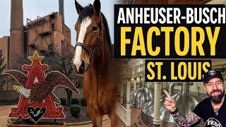 Massive Brew Kettles & Famous Clydesdales | Anheuser-Busch Factory Tour