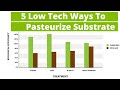 How to Pasteurise Mushroom Substrate (5 Easiest Methods)