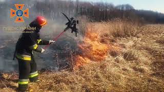 Кілька хвилин такого відео справляють враження!