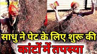 Kante Wale Baba Viral Video | Kante Wale Baba and Girl Video | Kate Wale Baba Crying, Mahakumbh 2025