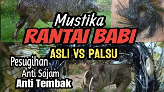 MUSTIKA RANTAI BABI ASLI VS PALSU / TUAH RANTAI BABI ASLI