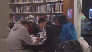 Protestors rally to voice anger over library budget cuts