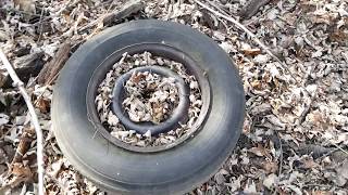 Akron, Ohio Goodyear Retread on a Firestone Deluxe Champion Bias Ply Car Tire Found in the Woods