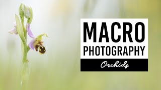 MACRO PHOTOGRAPHY | Orchids - VICTORIA HILLMAN